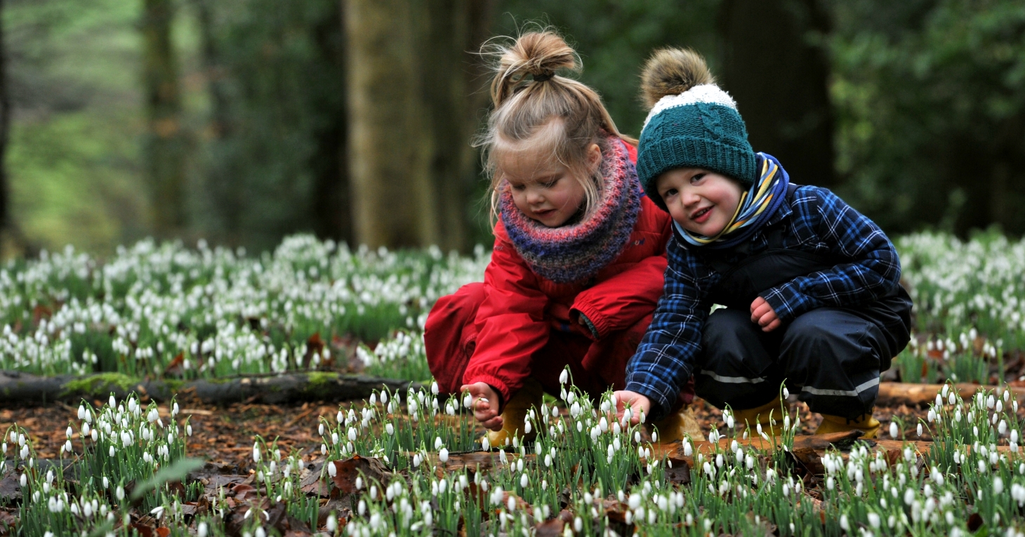 Snowdrops Spectacle at Painswick Rococo Garden