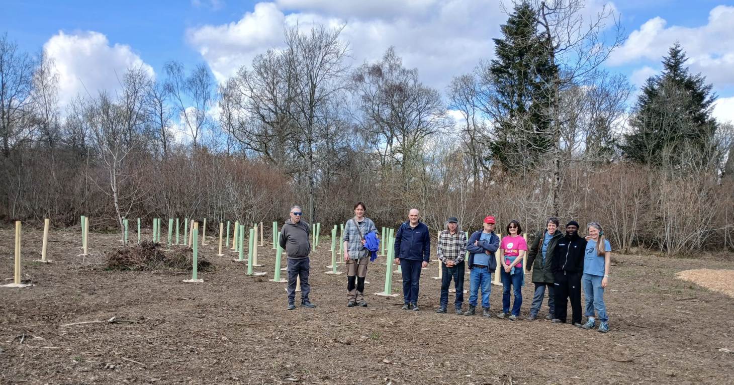 Stroud volunteers smash record to plant 19,000 trees in one season
