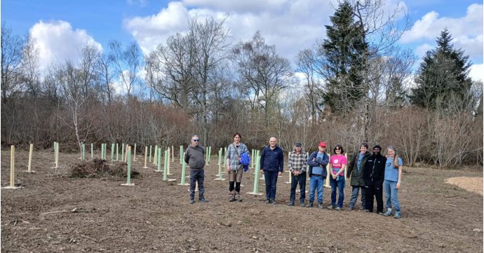 Stroud volunteers smash record to plant 19,000 trees in one season
