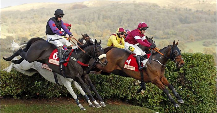 The November Meeting brings three thrilling days of racing to Cheltenham Racecourse