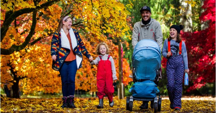 Westonbirt Arboretum unveils new autumn trails to encourage wellbeing through creativity