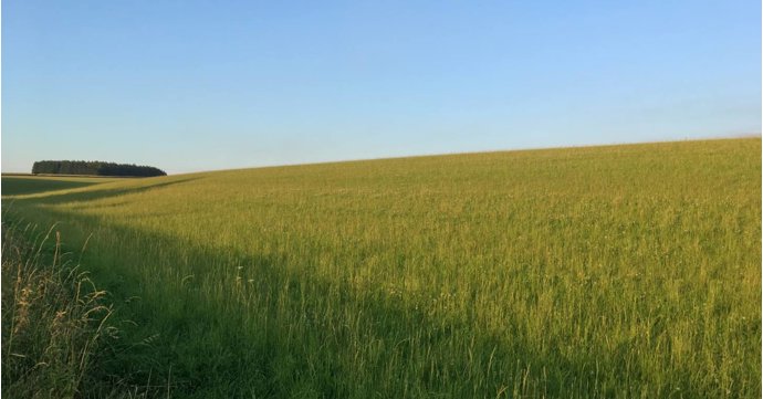 Cotswold campsite named one of UK's best for 'almost' wild camping