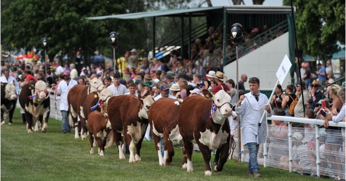 Enjoy a weekend of family fun at the Royal Three Counties Show