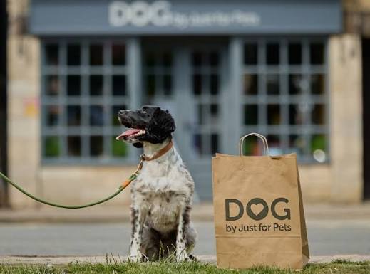 DOG by Just For Pets