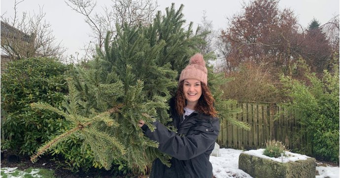 Gloucestershire charity launches Christmas tree recycling scheme