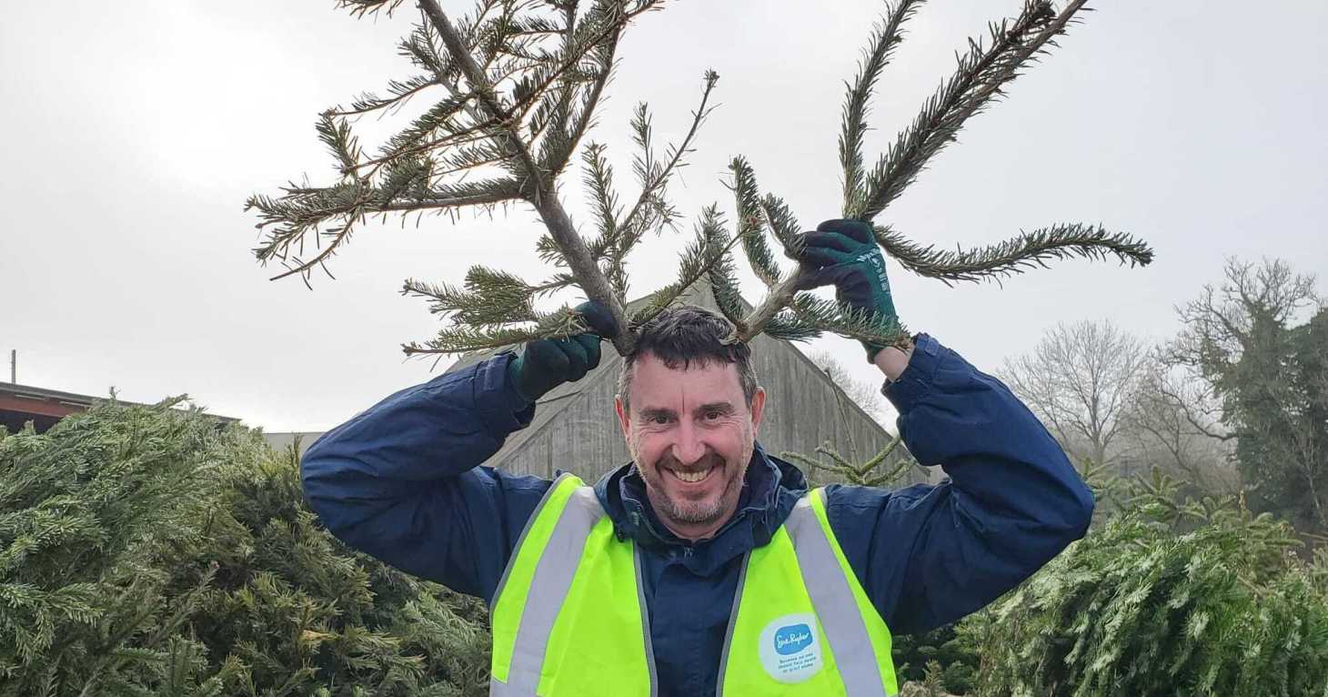 Gloucestershire charity launches Christmas tree recycling scheme