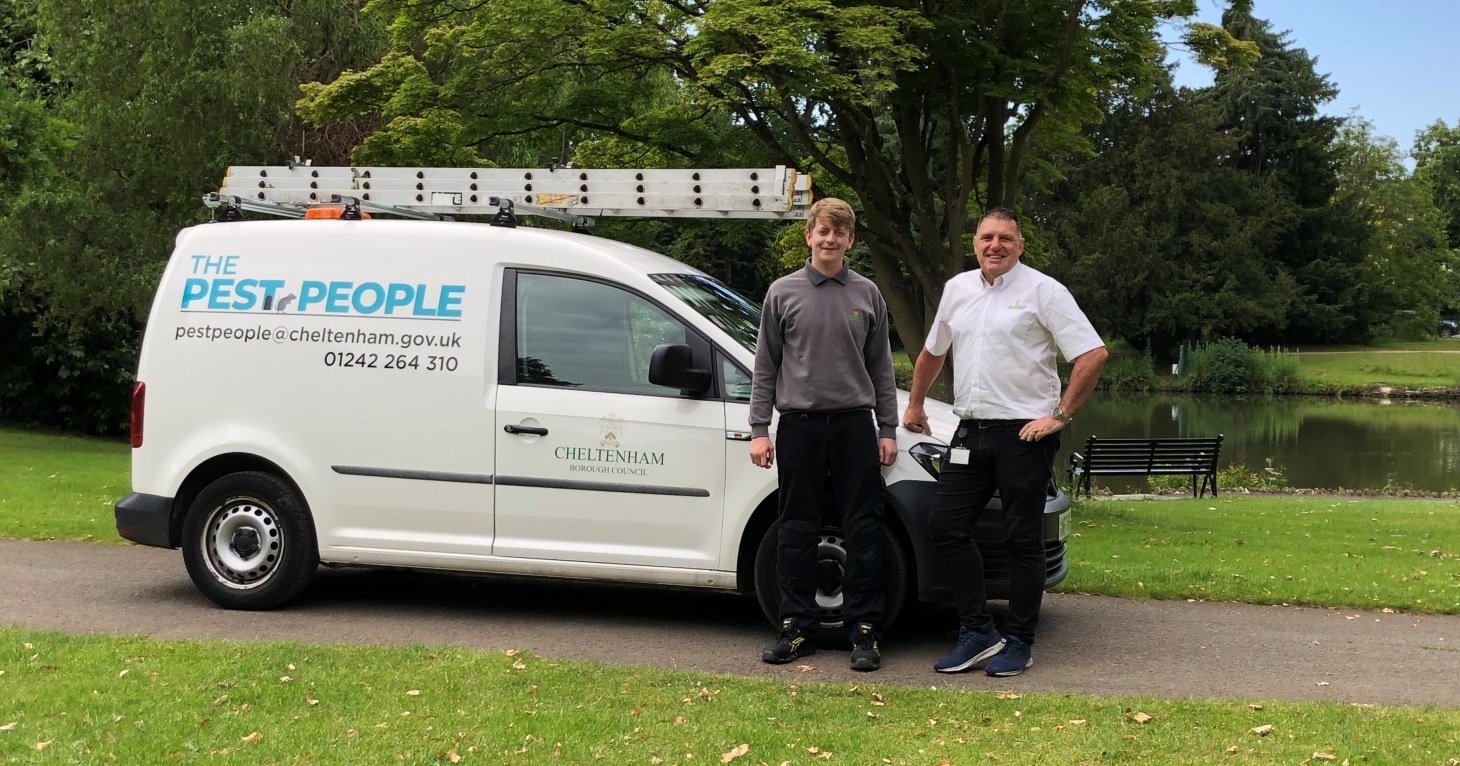 9 effective ways to deal with pests at your Cheltenham property