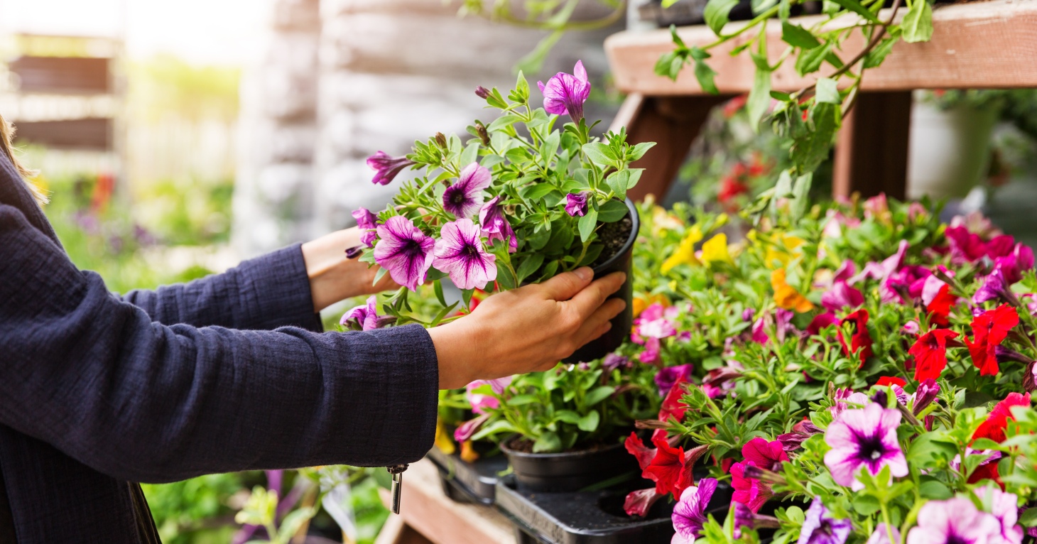 New Gloucester garden centre reveals opening date and celebrity guest cutting the ribbon