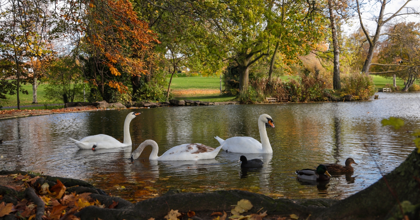 10 reasons to swap life in London for Cheltenham