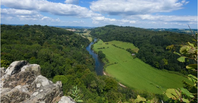 9 best reasons to move to the Forest of Dean