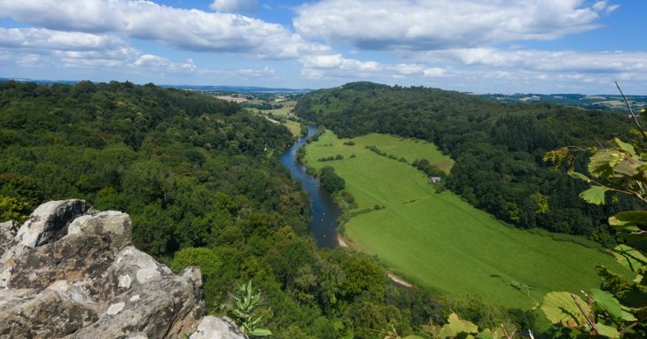 Lush forests, tranquil riverside spots and fun family attractions are just some of the things that make living in the Forest of Dean great.