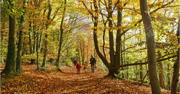 6 places to stay in Gloucestershire for awesome autumn adventures