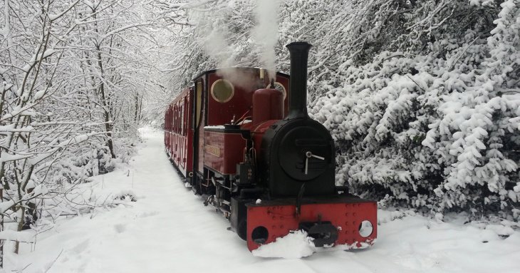 Christmas has arrived in the Forest of Dean, with some wonderful ways to celebrate the season.