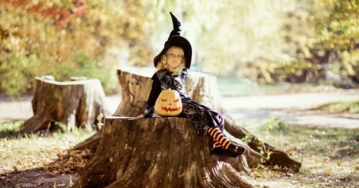 Venture into the Forest of Dean and the Wye Valley for Halloween fun this October half term.