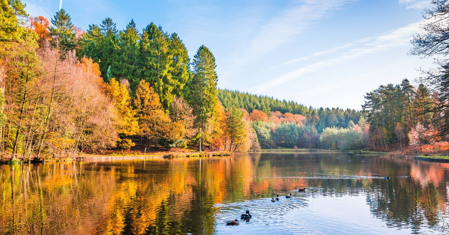 10 best things to do in the Forest of Dean