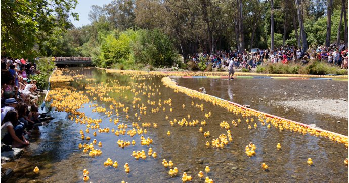 Spectators around the globe to watch this year's annual Bibury Duck Race when it returns on Boxing Day 2023
