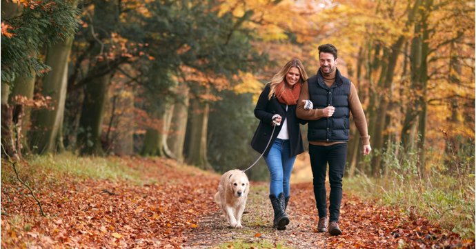 The perfect dog-friendly weekend in the Cotswolds