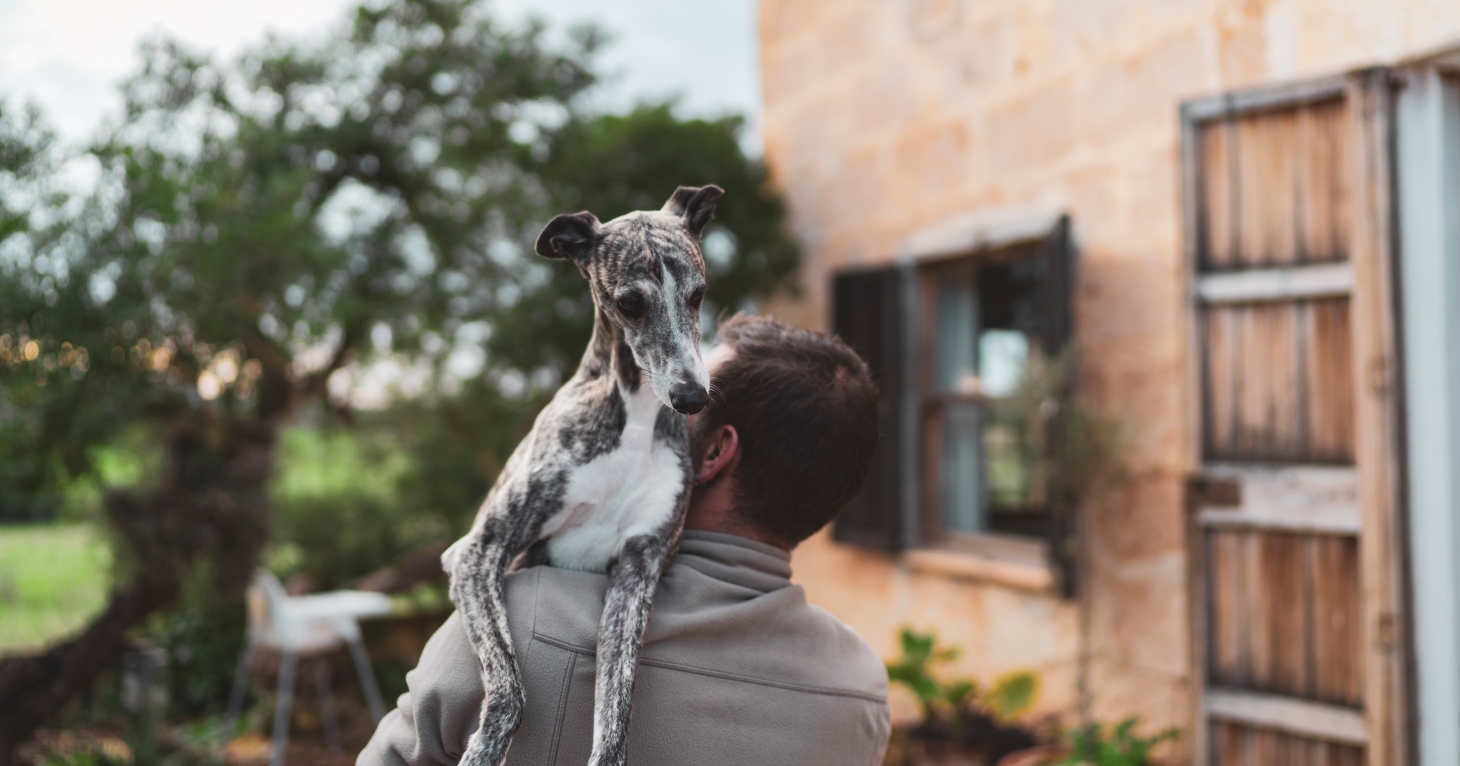 10 dog-friendly holiday cottages for exploring the Cotswolds