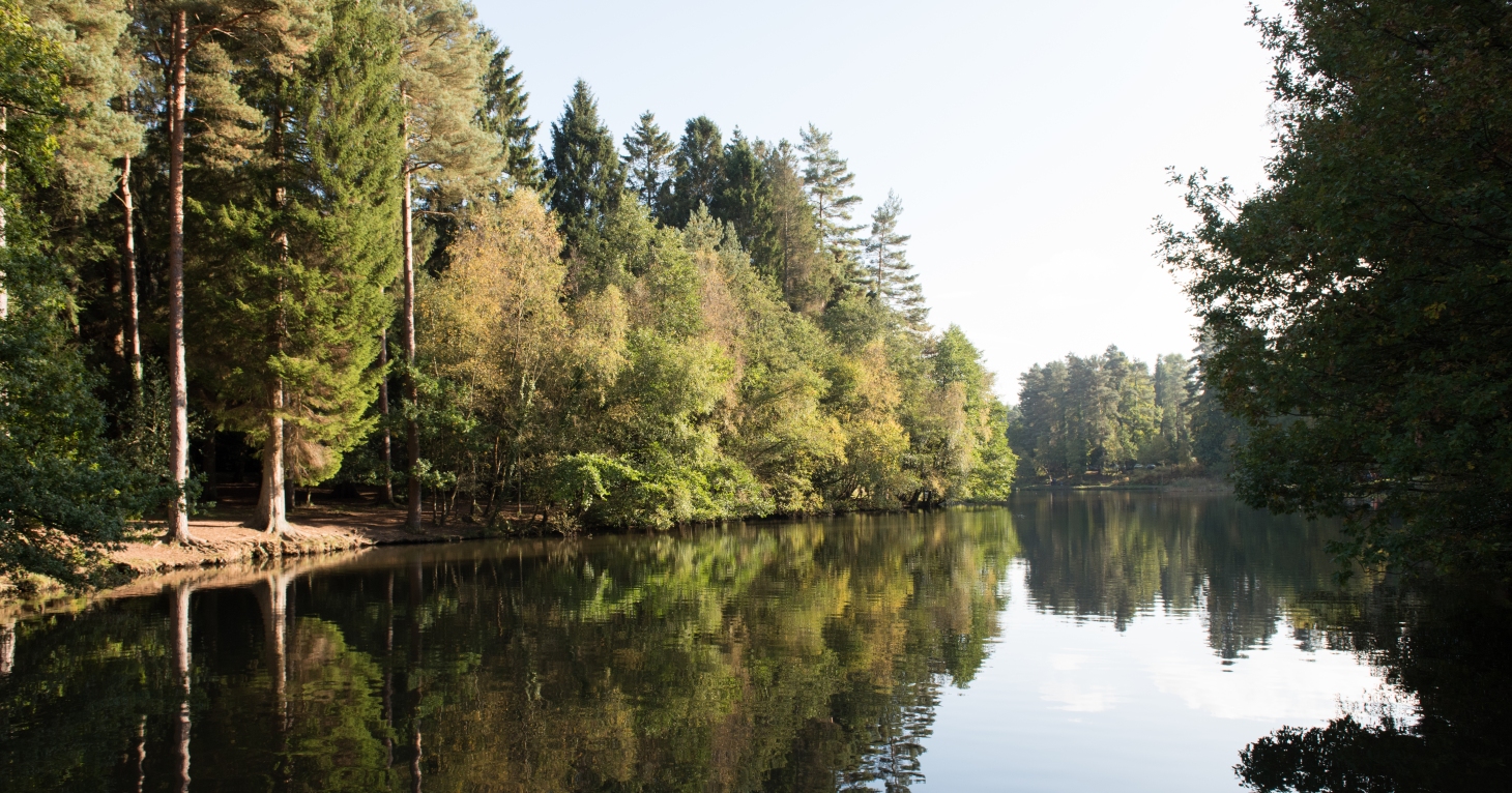 Forest of Dean named one of Europe's most affordable holiday destinations