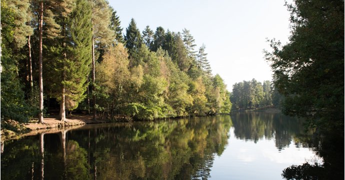 Forest of Dean named one of Europe's most affordable holiday destinations