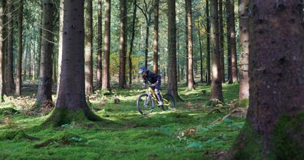 Forest of Dean attraction ranks as one of the most Instagrammable in the UK