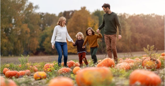Gloucestershire autumnal destination tops list of most Instagrammable pumpkin patches in England