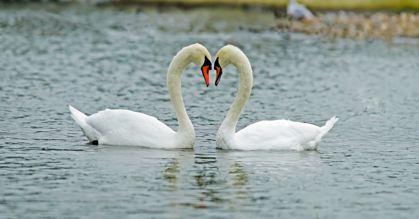 Most romantic places to visit in the Cotswolds revealed by travel experts